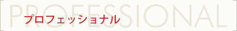 PROFESSIONAL プロフェッショナル